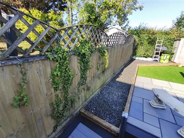 Fence before replacement, overgrown with ivy
